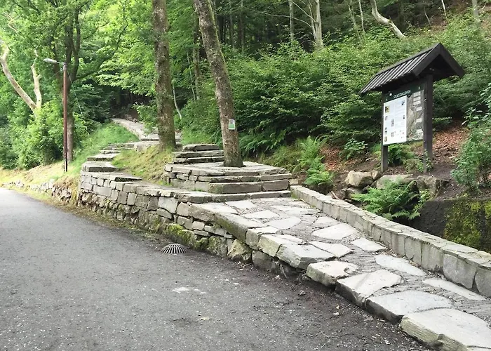 In Modern Complex Near Old Lägenhet *